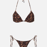 Le Triangle Set - Leopard